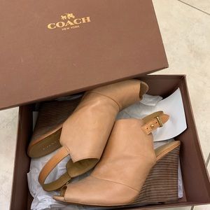 COACH • Lindsay Wedge